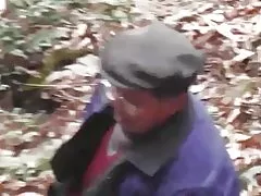 Вудс серії - Дикий ліс